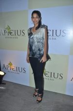 at Apicus lounge launch in Mumbai on 29th March 2012 (186).JPG